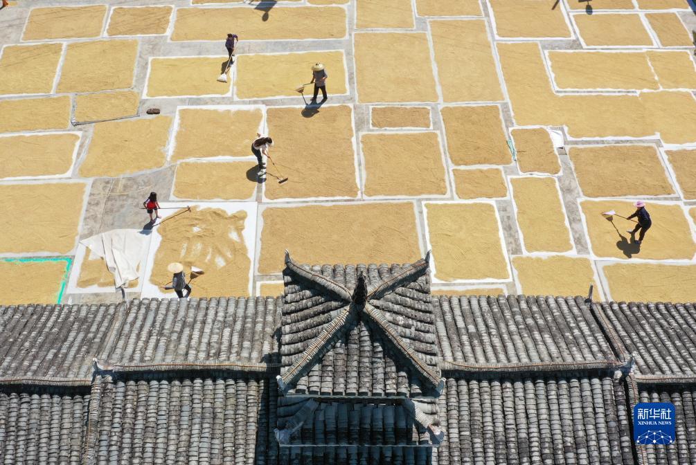 7659棋牌